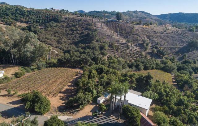 Front Image Thumbnail for CRNDP2603904