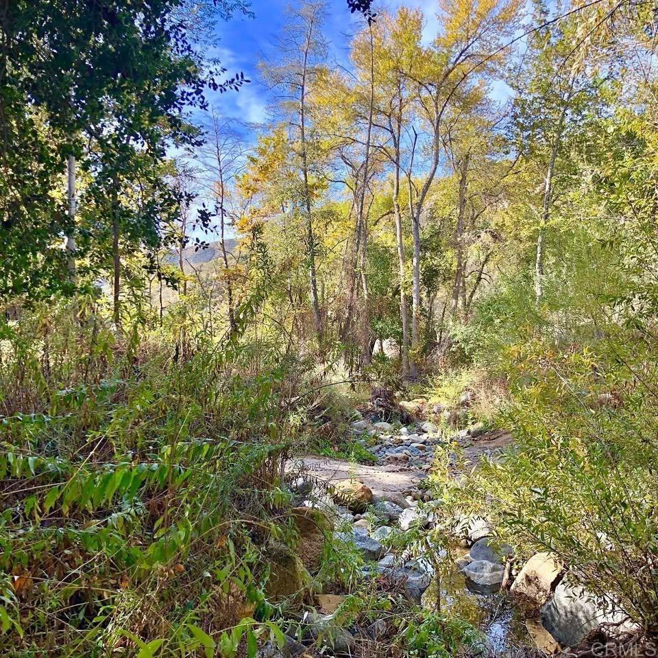 MLS #NDP2403618 image #12