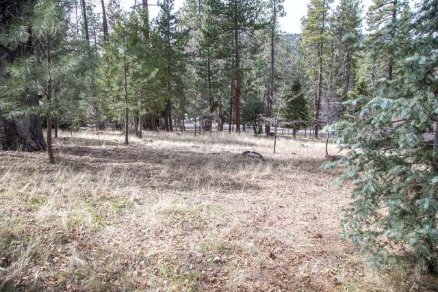 0 Tollgate Road, Idyllwild CA: https://media.crmls.org/mediaz/f8dc69e1-8d6c-4e72-818f-4ae4eddc96ff.jpg
