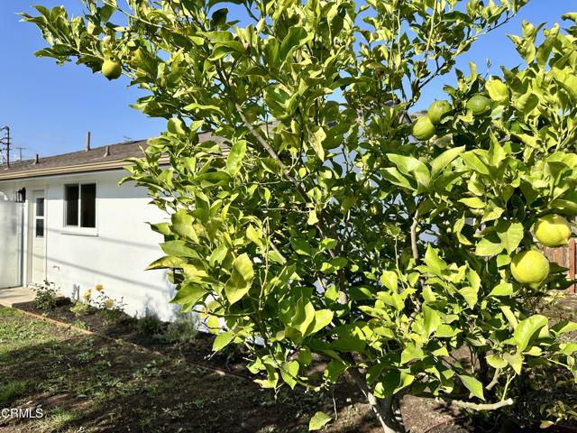 5063 Cypress Lane, Ventura CA: https://media.crmls.org/mediaz/f8df9b83-1a4a-4bb4-b75c-ea9e9c4fcec9.jpg