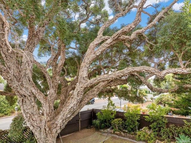 334 Date Avenue, Carlsbad CA: https://media.crmls.org/mediaz/f8e5341a-7d53-4ba1-9b28-a809f34027ae.jpg
