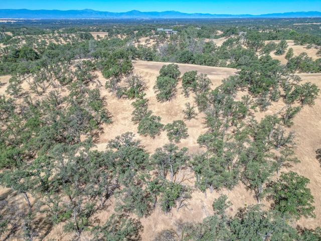 0 Wood Duck Pass Road, Red Bluff CA: https://media.crmls.org/mediaz/f8e62c02-fa69-469f-a758-e52b44dfc6c0.jpg