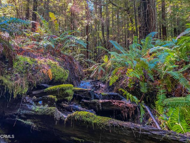 0 Irmulco Road, Willits CA: https://media.crmls.org/mediaz/f8ea204b-4c14-4df6-9f4c-0f0a28be0e10.jpg