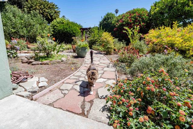 4670 Eggers Dr, Fremont CA: https://media.crmls.org/mediaz/f8f9ce15-011c-40af-a8f3-d516c1377c1a.jpg