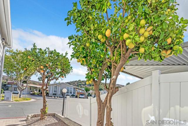 12824 El Rey Vista St, Poway, California 92064, 3 Bedrooms Bedrooms, ,3 BathroomsBathrooms,Manufactured On Land,For Sale,El Rey Vista St,250000973SD