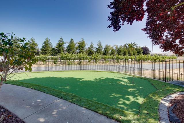 160 Tevis Trail, Hollister CA: https://media.crmls.org/mediaz/f90896b0-1626-401f-9efc-35bd6ff9ba8b.jpg