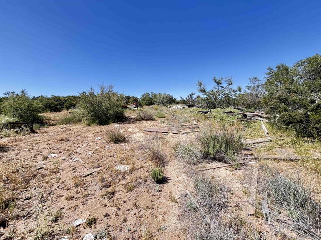 38430 Lilac Ln., Boulevard CA: https://media.crmls.org/mediaz/f91159bb-df6e-437b-ac66-9b77b5e0ea4c.jpg