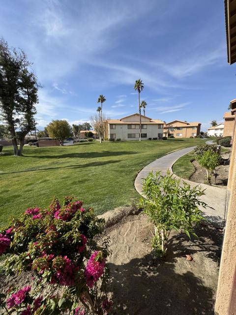 Image 19 of 26 For 78650 Avenue 42  719