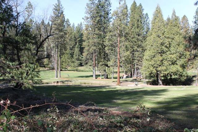 18861 Lookout Drive, Twain Harte CA: https://media.crmls.org/mediaz/f91af191-c5f4-4275-af3e-87cf8901f77c.jpg