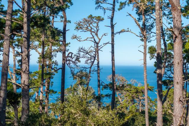 90 Crest Road, Carmel CA: https://media.crmls.org/mediaz/f91d1bfd-4c7e-4e14-8dc7-703befcb2982.jpg