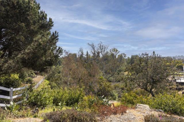3245 Brookside Ln, Encinitas CA: https://media.crmls.org/mediaz/f921535e-1de8-4a5d-a9fe-122da496ed85.jpg