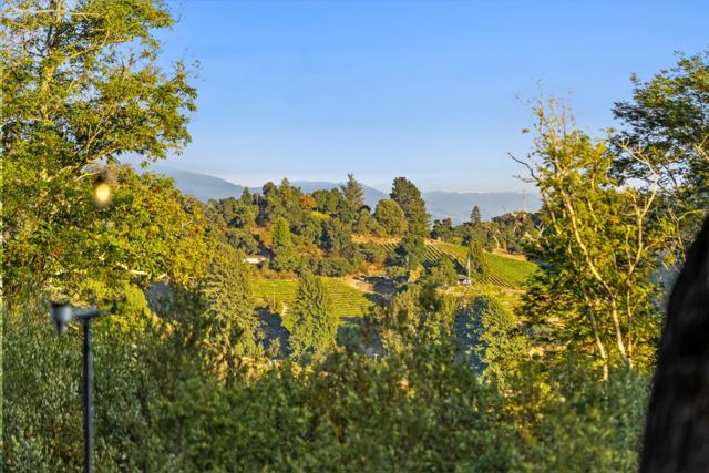 579 San Juan, Corralitos CA: https://media.crmls.org/mediaz/f9295308-c544-4ee5-9317-59c8083500b8.jpg