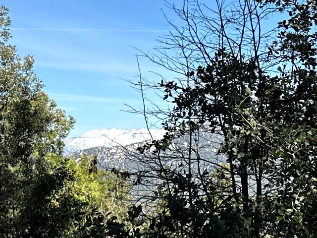 0 Green Craig, Idyllwild CA: https://media.crmls.org/mediaz/f92e8de7-14a5-45d4-8e71-6f516b1bb518.jpg