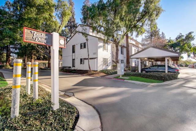 1996 Tradan Drive, San Jose CA: https://media.crmls.org/mediaz/f9382f64-cc46-4fa7-986f-3d7d0674a863.jpg