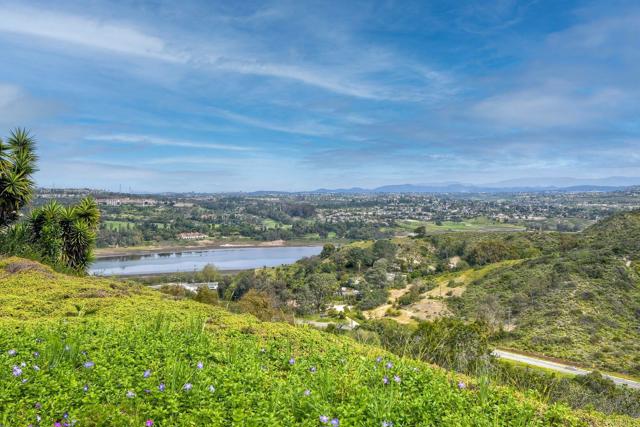 Detail Gallery Image 4 of 32 For 1729 Gascony Rd, Encinitas,  CA 92024 - 3 Beds | 2 Baths