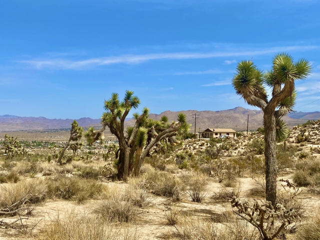 104 Bandera Road, Yucca Valley CA: https://media.crmls.org/mediaz/f9507545-36a5-44b4-859f-8d19d37d961b.jpg