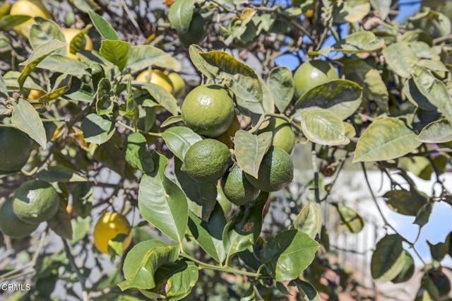 Detail Gallery Image 48 of 49 For 622 South Evergreen Drive Dr, Ventura,  CA 93003 - 2 Beds | 2 Baths
