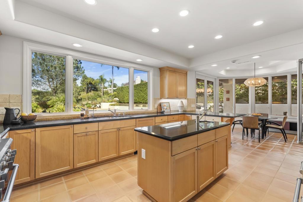 14835 Caminito Lorren - photo 8