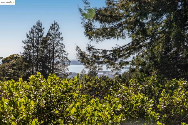 2671 Shasta Rd, Berkeley CA: https://media.crmls.org/mediaz/f956ff61-f40e-4831-9a96-3428227dda3a.jpg