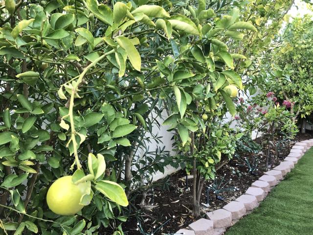 74711 Dillon Rd Spc 1017, Desert Hot Springs CA: https://media.crmls.org/mediaz/f957a5c5-d165-4c8a-8681-166ae9b4f0f4.jpg