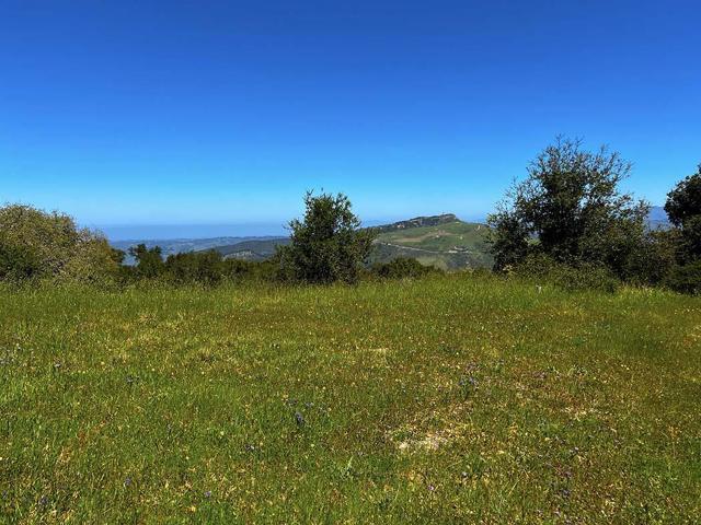 57 Chamisal, Carmel CA: https://media.crmls.org/mediaz/f95d1969-a7b8-4609-a332-347260c61151.jpg