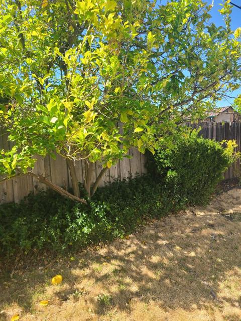 4879 Boone Drive, Fremont CA: https://media.crmls.org/mediaz/f9629e23-0693-416c-a557-d8e20078dad6.jpg