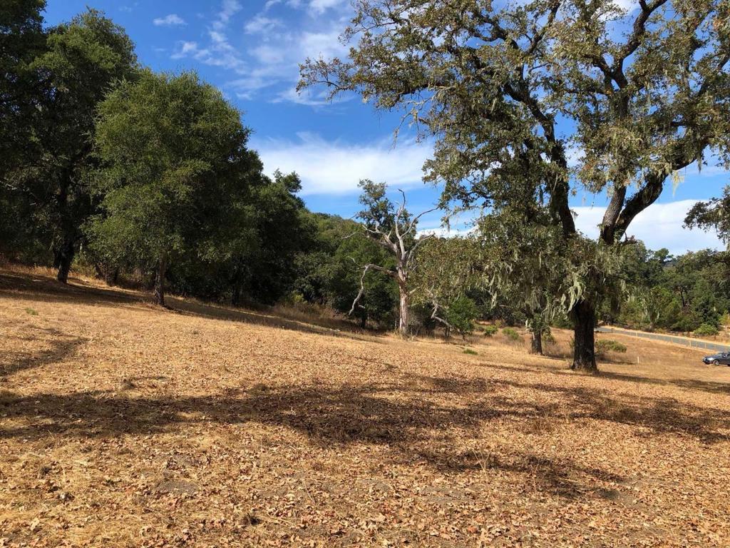 MLS #ML81896622 image #14