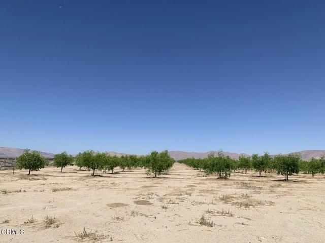 12500 Locust Avenue, Lucerne Valley CA: https://media.crmls.org/mediaz/f96e0ff1-31a0-4cef-a9f7-d67fdf35d99d.jpg
