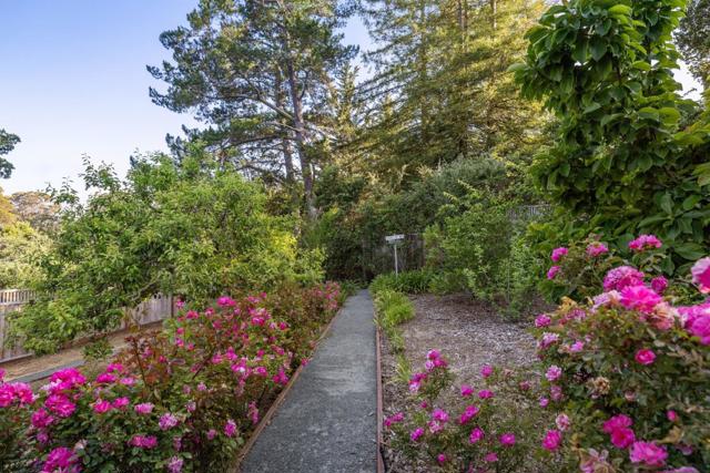 1431 Carlton Road, Hillsborough CA: https://media.crmls.org/mediaz/f975a2da-5bd5-4bad-a03f-5b7d9b360ff0.jpg