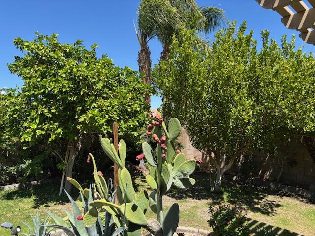 984 Tierra Lane, Palm Springs, CA 92262