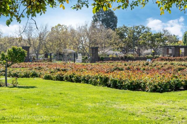 1771 Cleveland Avenue, San Jose CA: https://media.crmls.org/mediaz/f979e5cd-9151-46a1-8481-64cb55a89341.jpg