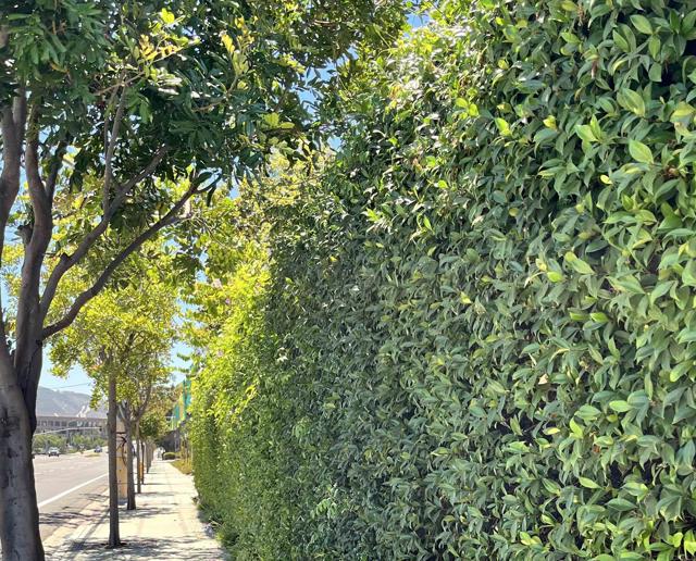 101 CHRISTEN Way, San Marcos CA: https://media.crmls.org/mediaz/f98aca3f-62c0-4415-895a-a09baa0df16f.jpg