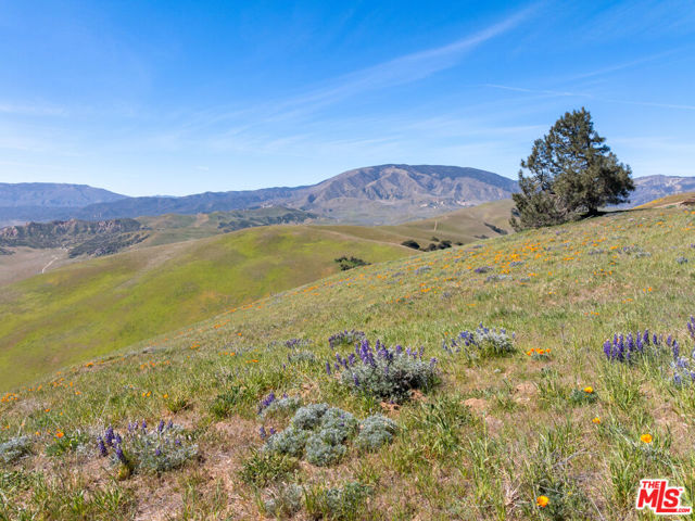 Image 31 of 32 For 1 Vac Vic Gorman Post Rd