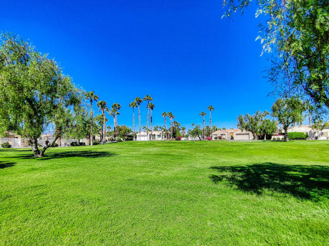 642 E Daisy Street, Palm Springs CA: https://media.crmls.org/mediaz/f98e5ff2-22eb-47ba-90aa-053187817a7b.jpg