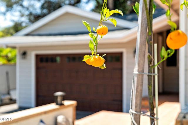 3 Bed Home for Sale in Oak View, California