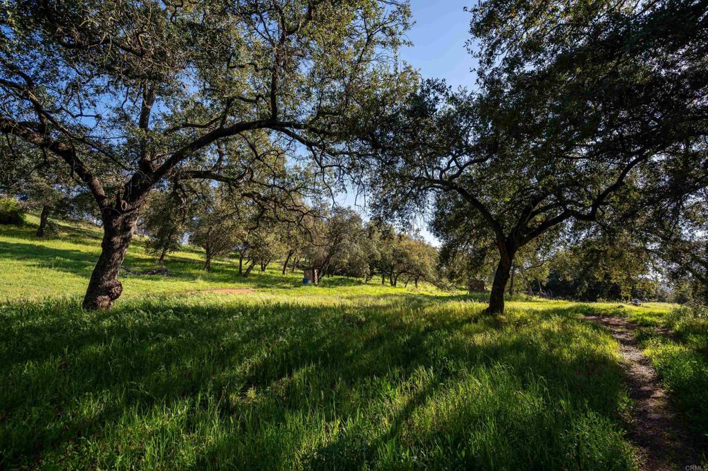 26086 Bear Valley Heights Road - photo 7