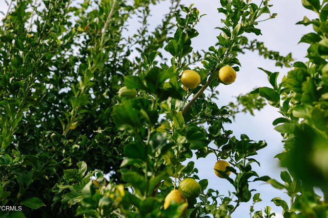 Detail Gallery Image 53 of 68 For 2506 Weston Pl, Glendale,  CA 91208 - – Beds | – Baths