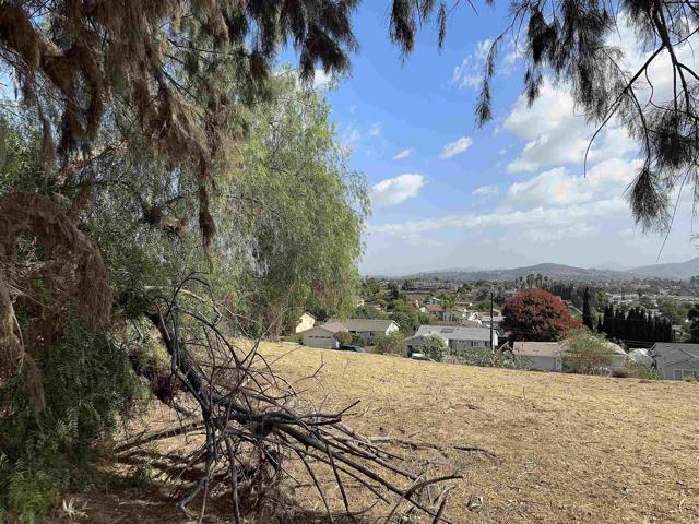 1832 69Th, San Diego, California 92114, ,Land,For Sale,1832 69Th,CRPTP2406524