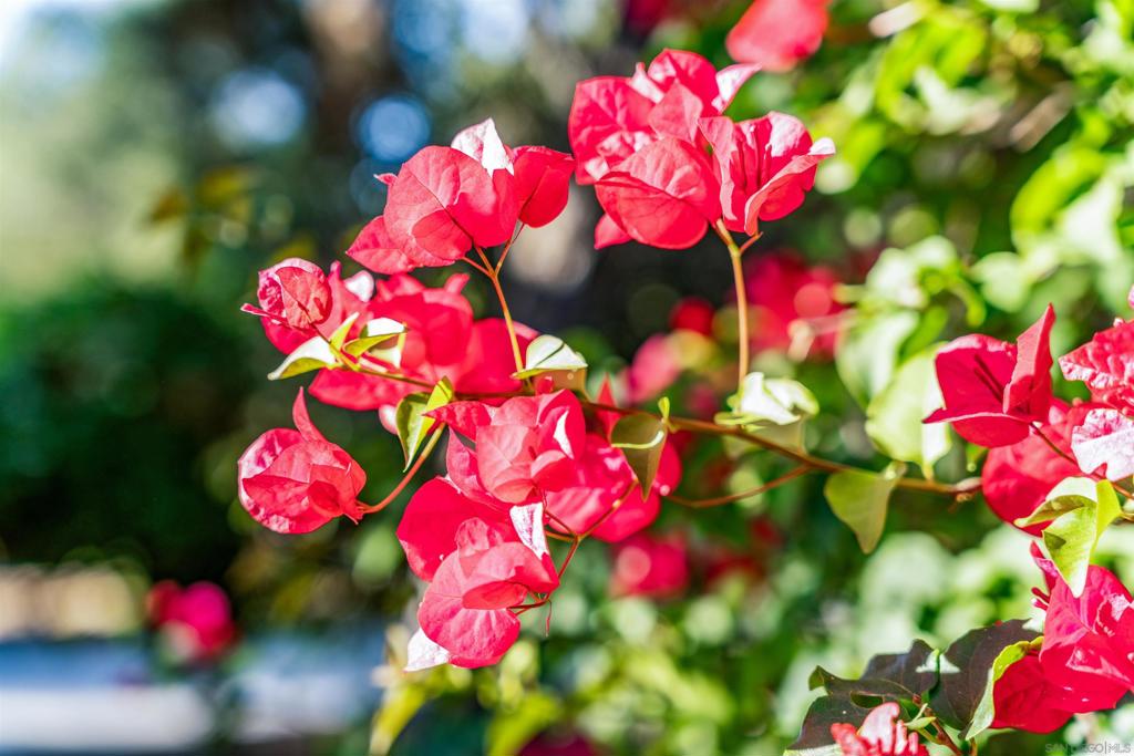 https://media.crmls.org/mediaz/f9c2d2b0-3947-43e5-bd47-2a8e2ab41e64.jpg?preset=X-Large