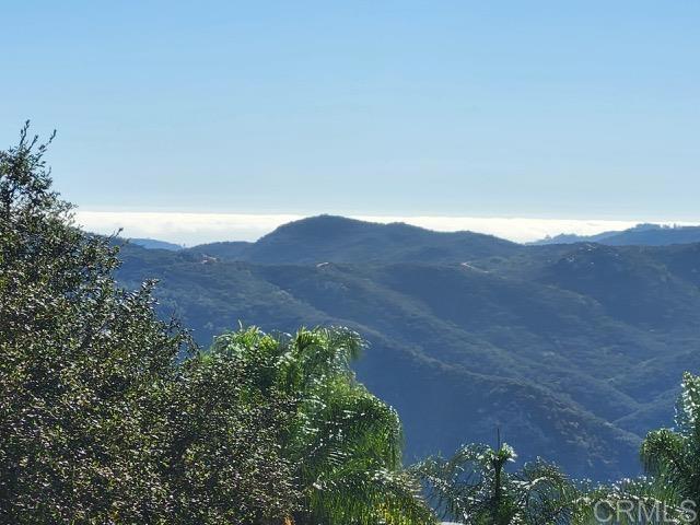 MLS #NDP2509272 image #6