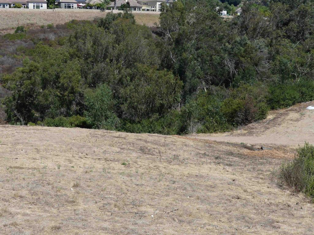 Paradise Glen Way San Marcos - photo 14
