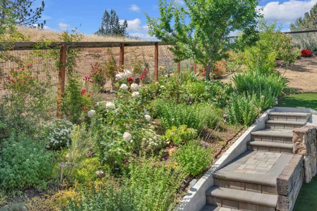 17035 Copper Hill Drive, Morgan Hill CA: https://media.crmls.org/mediaz/f9cd8e74-fe02-435e-8217-4f876682597a.jpg