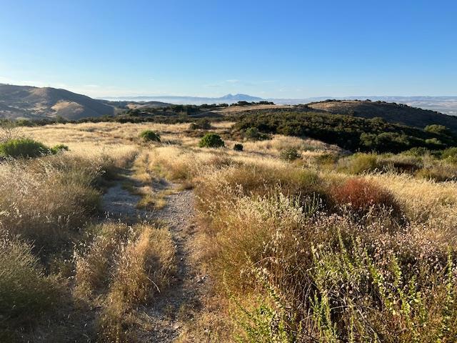 0 Pine Canyon Road, King City CA: https://media.crmls.org/mediaz/f9cd9466-a9f1-4c4d-b615-35b4ba9cfd22.jpg