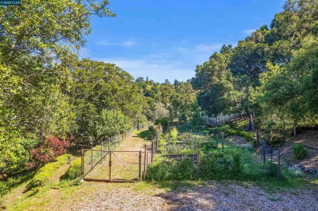 53 Tara Rd, Orinda CA: https://media.crmls.org/mediaz/f9ce55ba-bf0f-4ea7-956f-80e93654aec1.jpg
