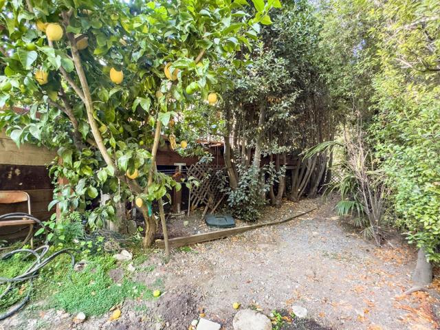 2155 Geri Lane, Hillsborough CA: https://media.crmls.org/mediaz/f9e7499b-16a0-424a-842a-5a56e67c38ad.jpg