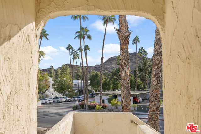 5300 E Waverly Drive, Palm Springs CA: https://media.crmls.org/mediaz/f9e866ea-7539-45e5-b46b-d1f3aaf11de6.jpg