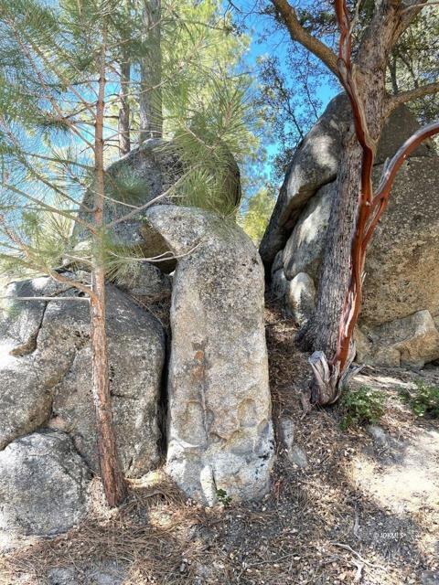 0 Northridge, Idyllwild CA: https://media.crmls.org/mediaz/f9eec14b-92fc-41fa-beca-b61101a36030.jpg