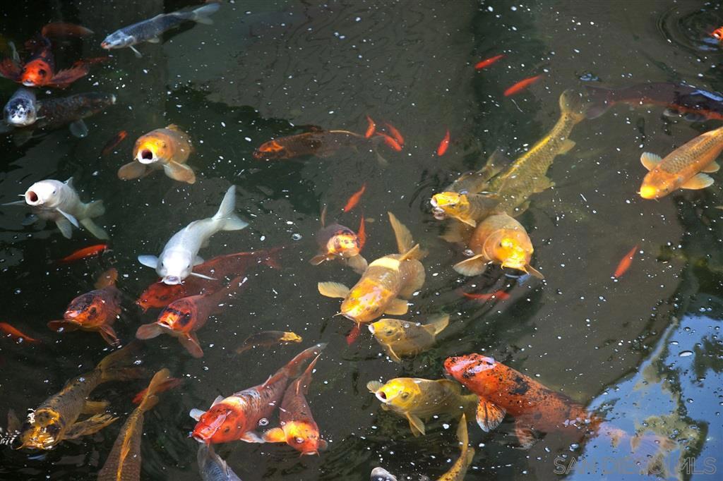 https://media.crmls.org/mediaz/f9f68a45-0238-4a5b-8f5d-550d7025381b.jpg?preset=X-Large