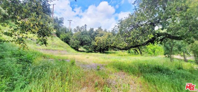 11402 Eby Canyon Road photo 7