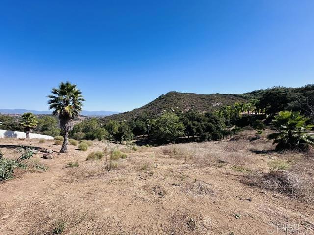 30409 Disney Lane, Vista, California 92084, ,Land,For Sale,30409 Disney Lane,CRNDP2409423